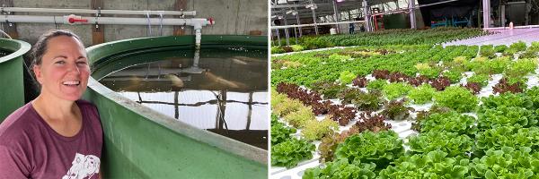 Holly Counter-Beaver, president and operator of Finn and Roots, practices aquaponics which combines fish and vegetable production. Finn and Roots operator stands next to tank of fish, and lettuce grows on long tables